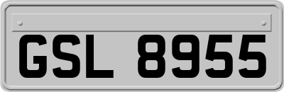 GSL8955