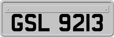 GSL9213