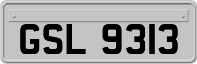GSL9313