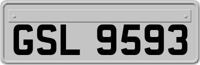 GSL9593