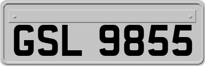 GSL9855