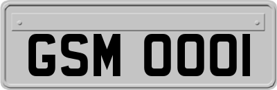 GSM0001