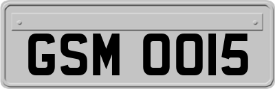 GSM0015