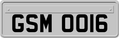 GSM0016