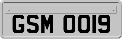 GSM0019