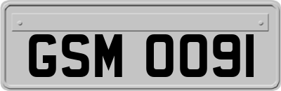 GSM0091