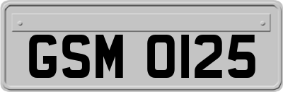 GSM0125
