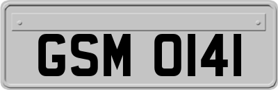 GSM0141