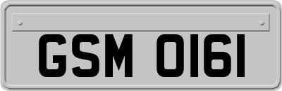 GSM0161