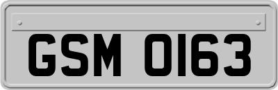 GSM0163