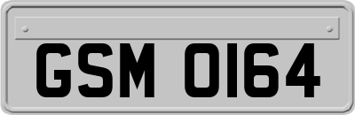 GSM0164