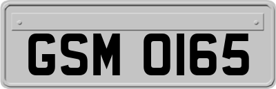 GSM0165