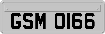 GSM0166
