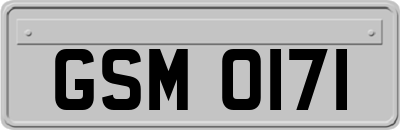 GSM0171