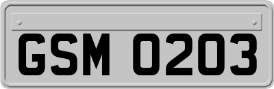 GSM0203