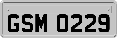 GSM0229