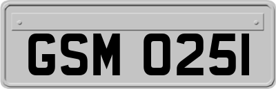 GSM0251
