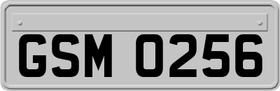 GSM0256