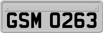 GSM0263