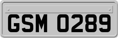 GSM0289