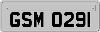 GSM0291