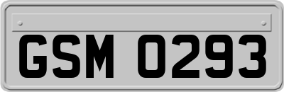 GSM0293