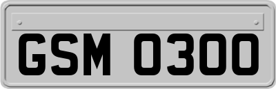 GSM0300