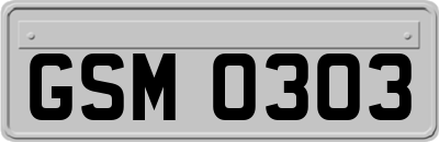 GSM0303
