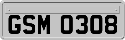 GSM0308