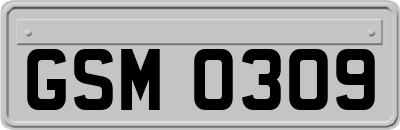 GSM0309