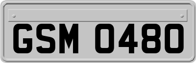 GSM0480