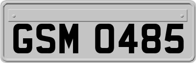 GSM0485