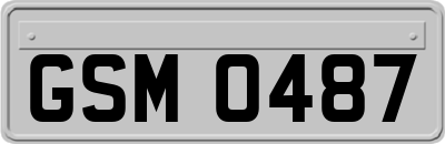 GSM0487