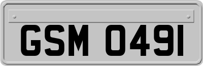 GSM0491