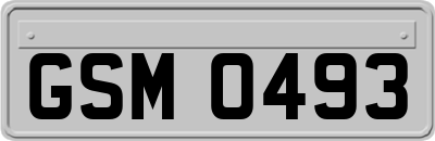 GSM0493