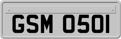 GSM0501
