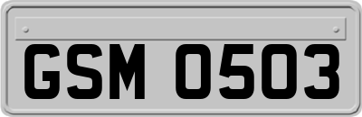 GSM0503