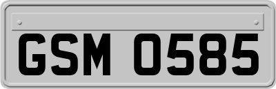 GSM0585