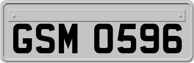 GSM0596