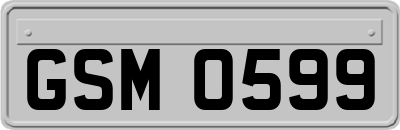 GSM0599