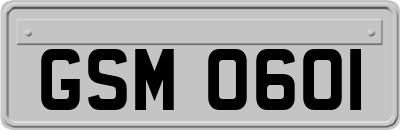 GSM0601