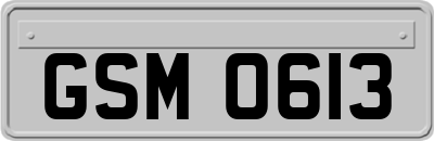 GSM0613