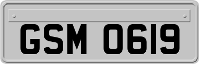 GSM0619