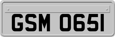 GSM0651