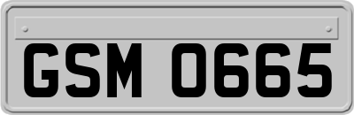 GSM0665