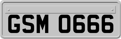 GSM0666