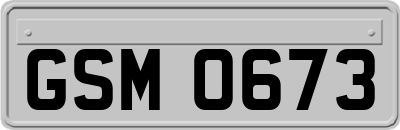 GSM0673