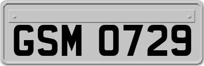GSM0729