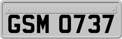 GSM0737