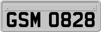 GSM0828